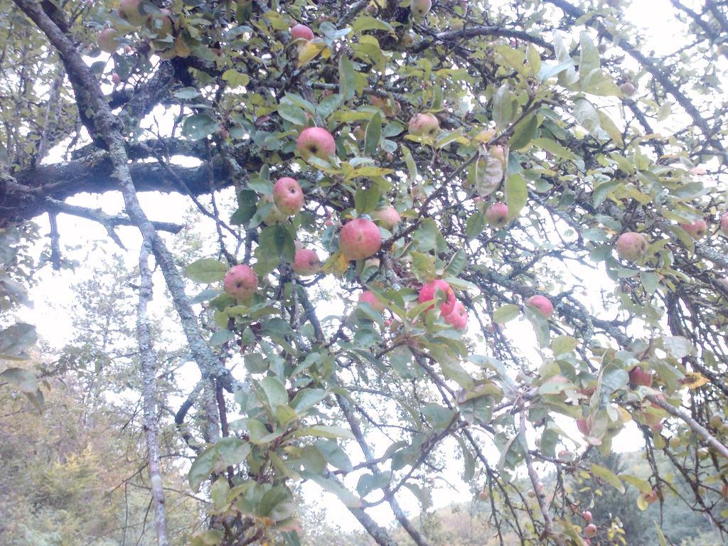 Frühstückspension Osterija Na Planinci 3*