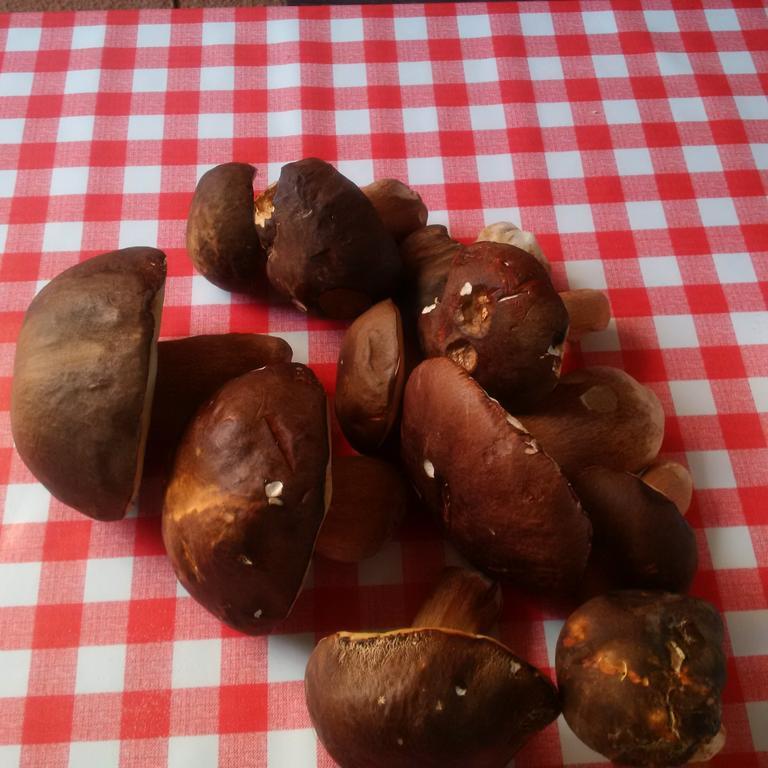Osterija Na Planinci Frühstückspension 3*