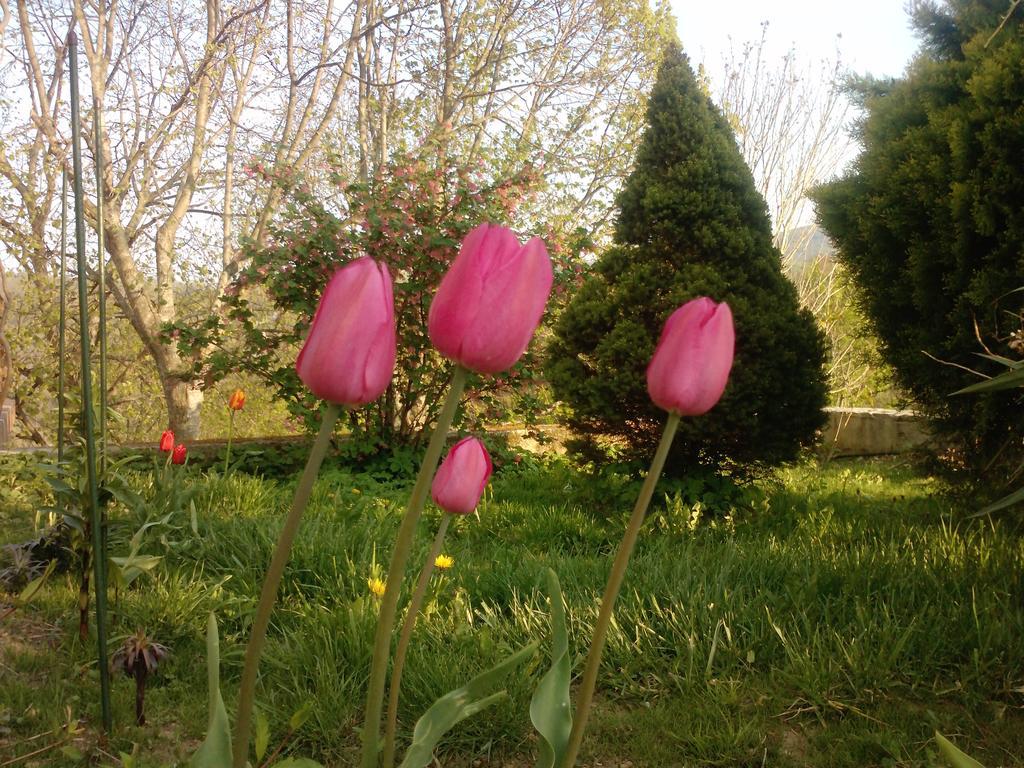 Frühstückspension Osterija Na Planinci