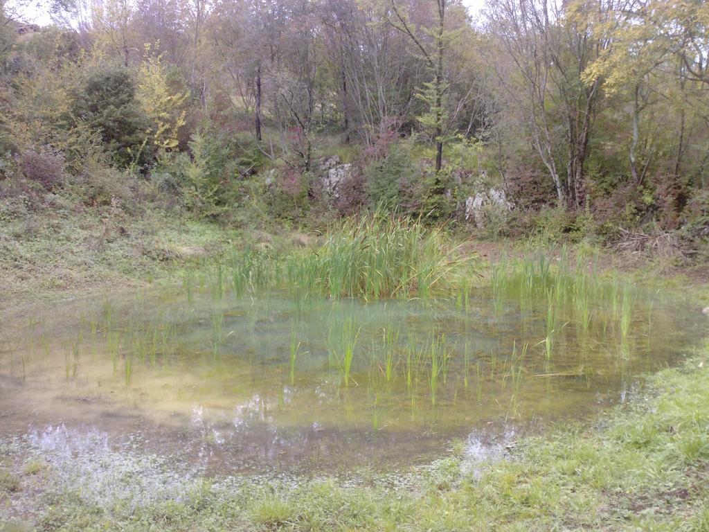 Frühstückspension Osterija Na Planinci 3*